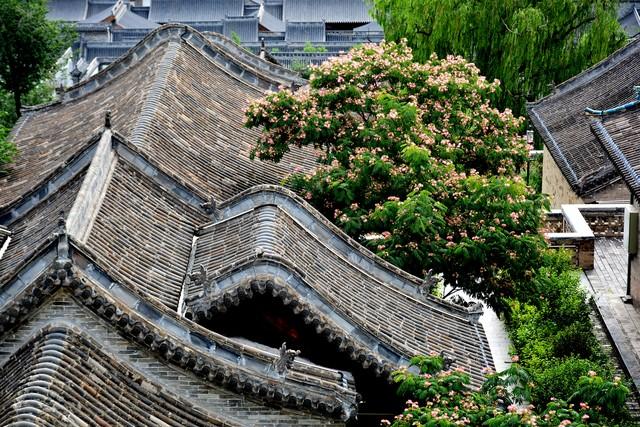 标题：那段最难忘的人文体验