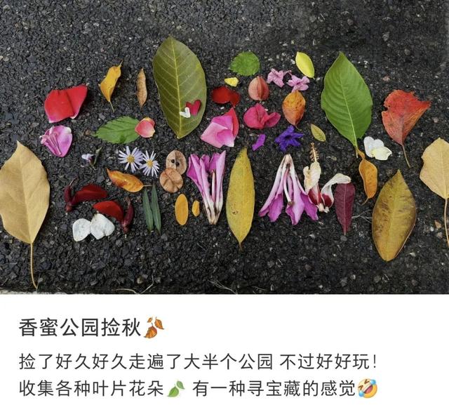 最近，不少深圳人都在捡！发图狂晒战绩，“有一种寻宝的感觉”