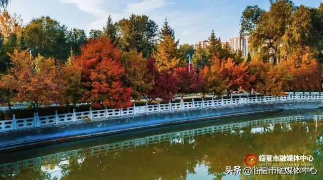 飞阅花都④丨漫步东郊公园 邂逅秋日风光 静享“天然氧吧”