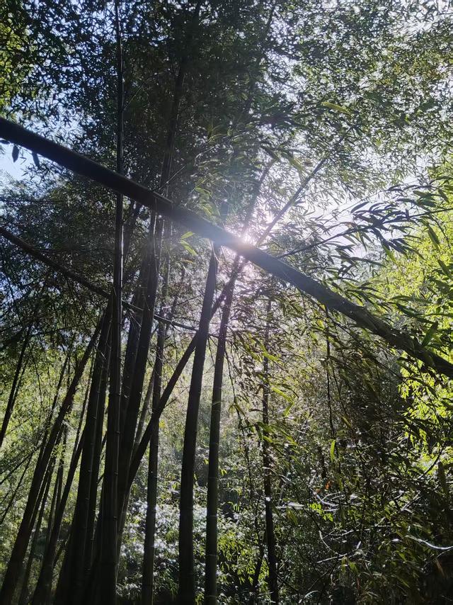 雨中徒步绍兴雪花潭