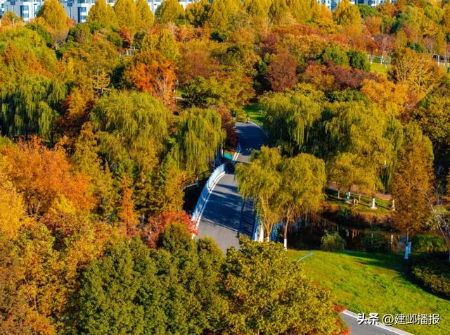 建邺5大封神赏景地,错过再等一年