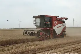 与农业专家一起看“三夏”丨“一台无人收割机，一天能收200多亩”图片