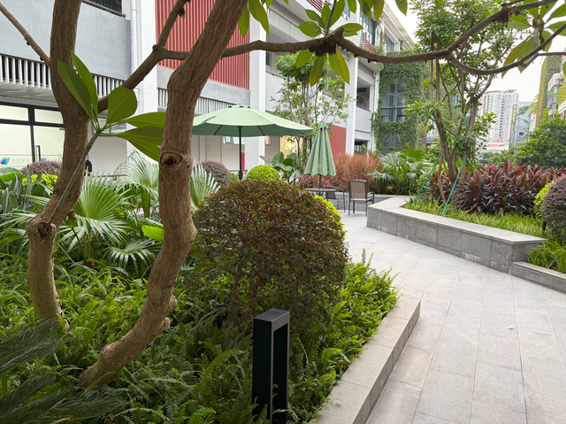 安卓用户“跳槽”iPhone 17体验如何？升级够大，但不完美