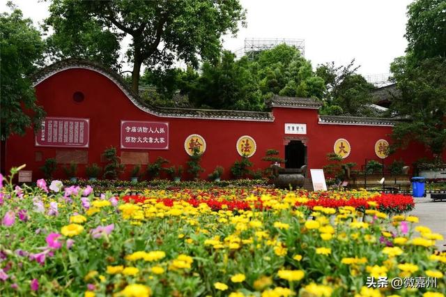给生活充充电，与大佛共赏一山秋色