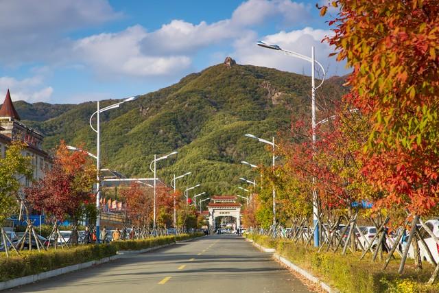 别老盯着南方枫叶乌桕，东北这地方也有你苦寻的秋色美！