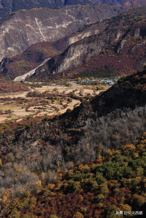 九死一生穿越「雅鲁藏布大峡谷」！西绕大叔的传奇人生