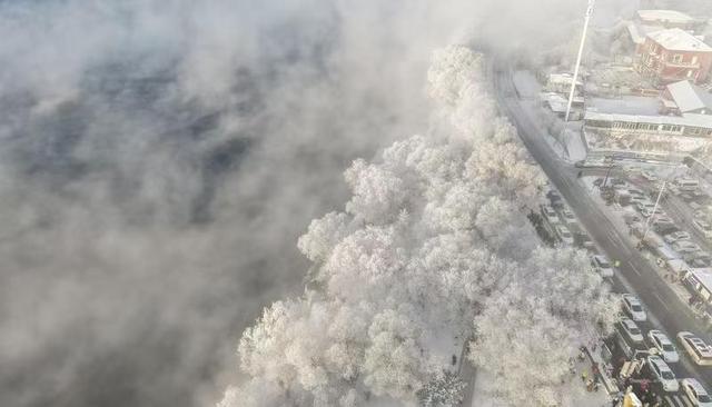 琼枝玉树映霞光，阿什雾凇岛现今冬“仙境”画卷