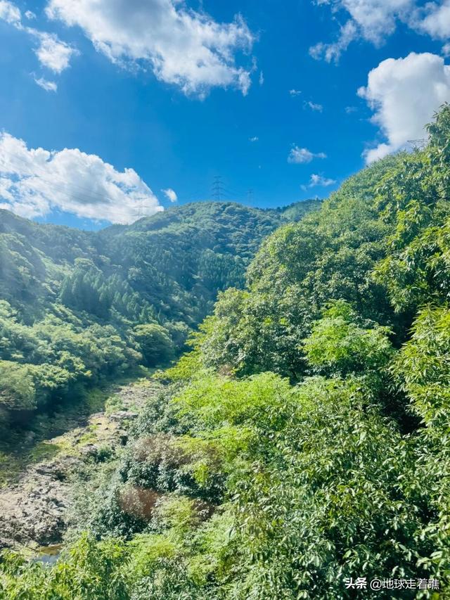 在京都最热的天，我抢到了那节“没顶”的5号车厢