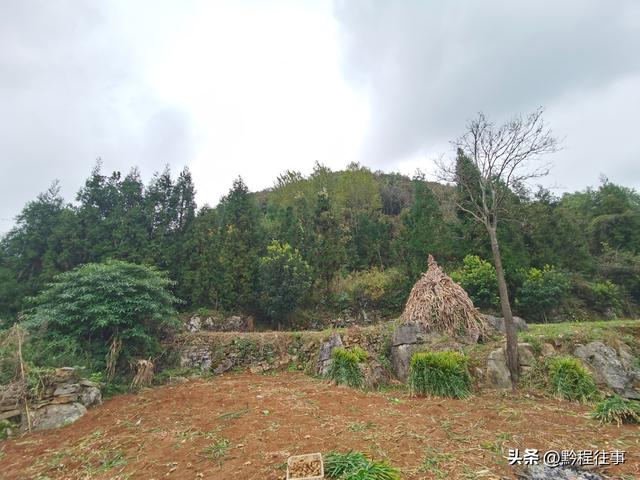 偏远乡野中寻找一个古寺遗址，探险一个深邃溶洞