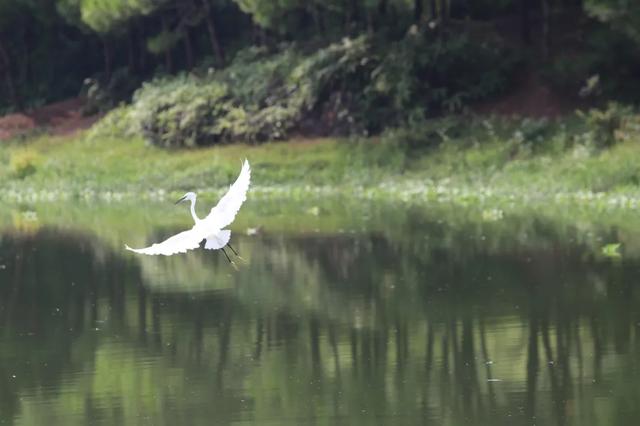 怀集的四季!带你回顾,带你深入