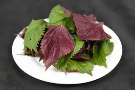 紫苏叶当菜吃？随便一炒，营养又美味，抗炎提高免疫力！图片