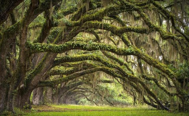 我是江苏人，全家一起来了趟辽宁辽阳，确实有点想不明白这四件事