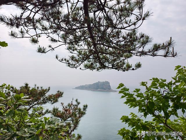 大连海之韵公园·棒槌岛
