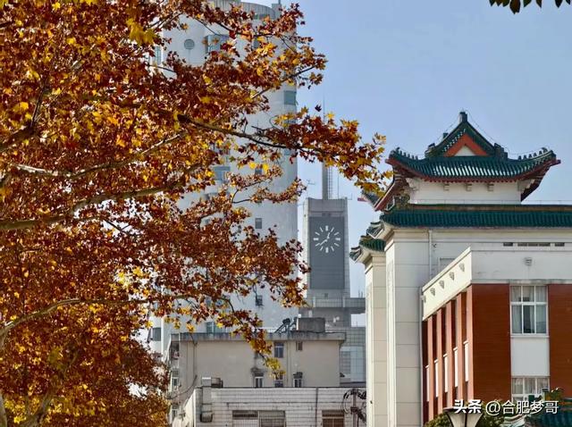 合肥市中心：徽州大道“金色大道”一眼回庐州