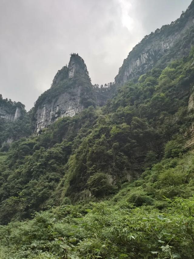 陈斌 散文||雾都游记