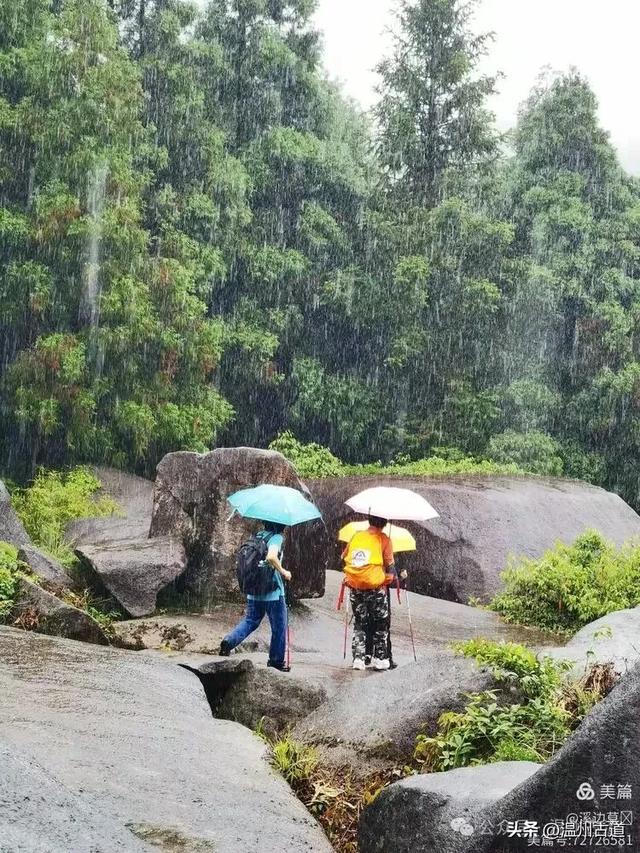 4A级免费景区徒步+避世绝美古村探幽，温州一日游的绝佳选择！