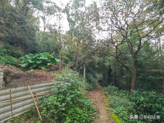 偏远乡野中寻找一个古寺遗址，探险一个深邃溶洞