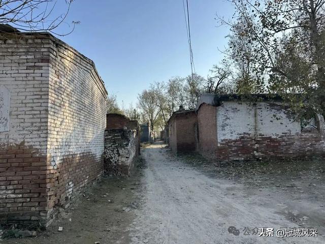 冠县乡韵·贾镇洼里村