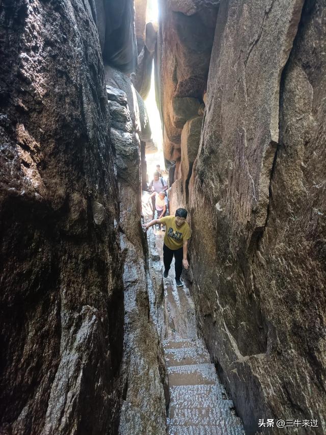 无为在歧路，避暑去鲁山