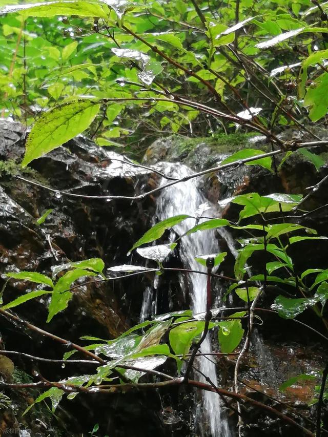 东平的十大名泉