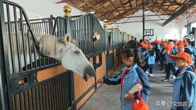 骑行山海间:在霞浦追寻别样浪漫
