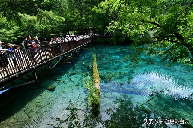 九寨沟:梦幻海子,人间绝色(图)