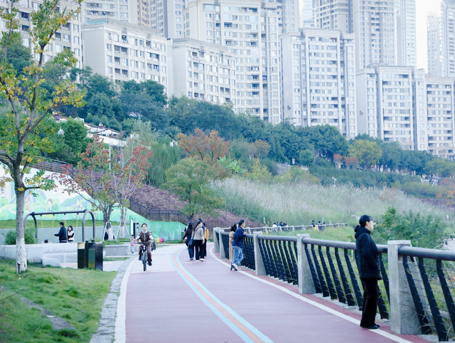 一组图解锁藏在江北嘴CBD的秋冬浪漫→
