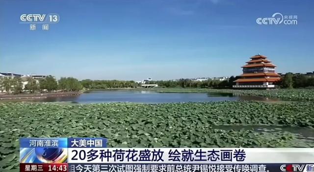 央视聚焦30余次！河南文旅多彩活动畅爽一夏