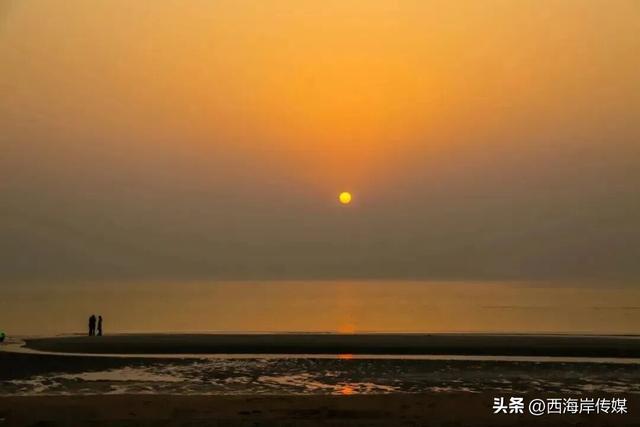 秋色渐浓，正是奔赴红树林的最佳时光！
