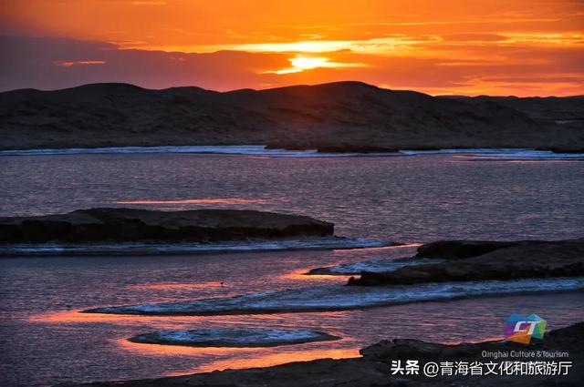今日处暑丨“青”风渐起消残夏 “海”月初升送秋凉
