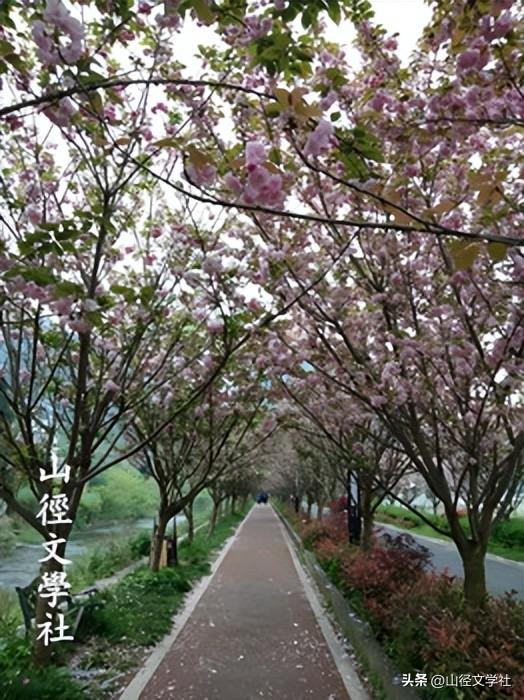 夏行贵州之二： 凡心追净土，酷暑享清游（山径·陈建湘）