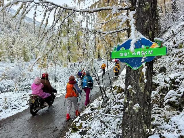 甲依拉措 :一场白雪与彩林的盛宴