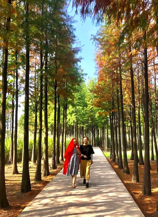 秋色斑斓美如画