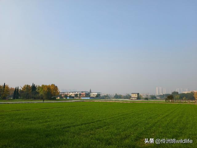 四川行(75)广汉②金雁湖公园·黑塔街·龙居寺