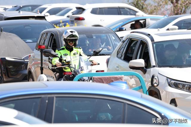 春节邂逅盛花期：罗平旅游人气旺，文旅市场“开门红”