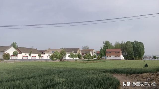 焦作一村庄因坟冢而得名，特产更是远近闻名