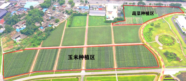 奔赴种业园，一起 “趣” 采摘！天府现代种业园采摘全攻略指南