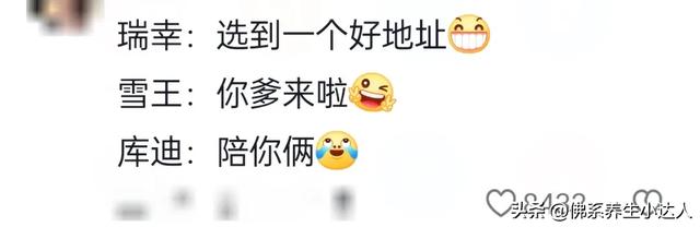 笑不活了！ 瑞幸躲哪蜜雪跟到哪，雪王：我不懂选址但我朋友懂！