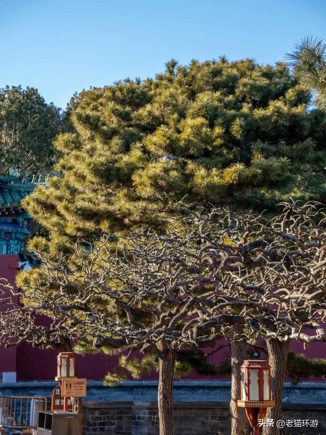 为什么说“天坛是北京最值得慢逛的地方”？