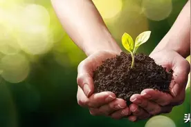 假如时光可以倒流，我想重回逝去的年代图片