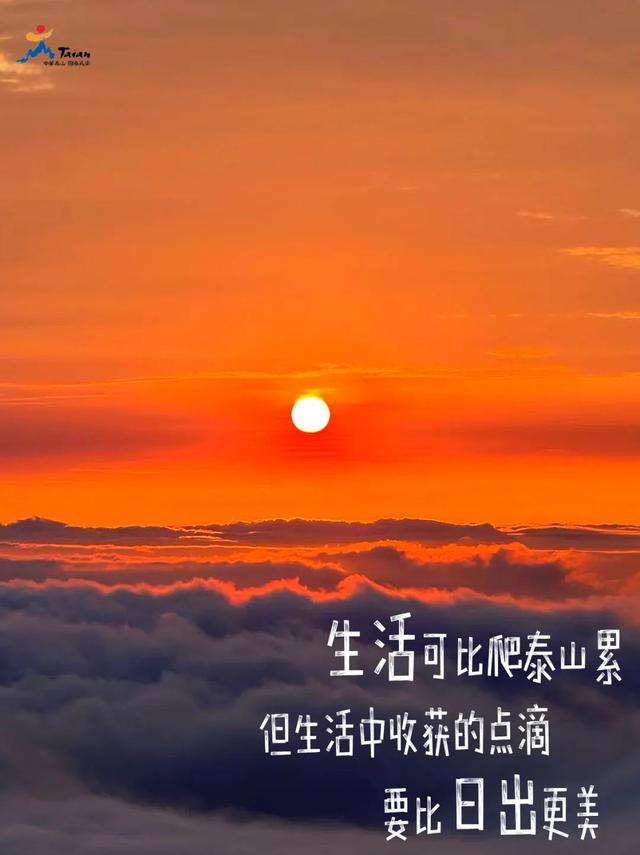 泰山再出神图！8个惊叹瞬间+走心文案超治愈 网友：被戳中，要哭了！