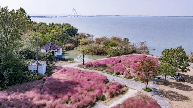 高淳还能这样玩