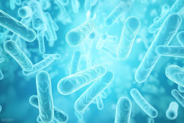 肠癌是散步散出来的？医生：就算是铁打的肠胃，也经不起这样走