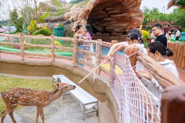 《疯狂动物城》苏州分“城”来啦！