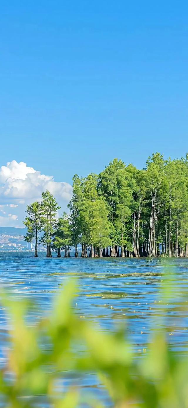 手机壁纸|美如画的自然风景