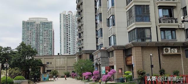 初临广州之印象