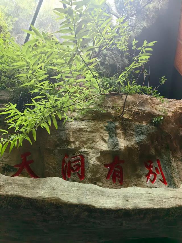 峡江寻故知：心痕篆刻在山水间