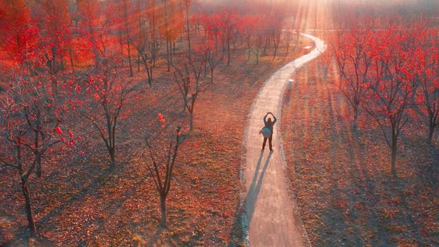 广东10城深秋限定！红叶银杏+古寺，小众路线美到刷爆朋友圈！