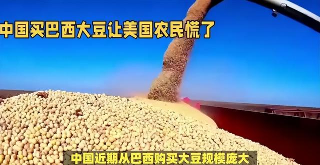 贪心砸了饭碗？巴西硬抬价，中国 130 万吨大豆订单瞬间流向阿根廷