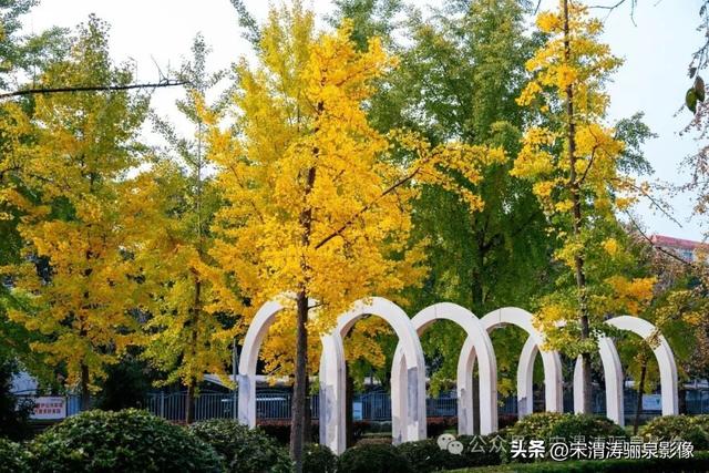 陕西渭南：天晴了 高新区时代广场秋色盎然